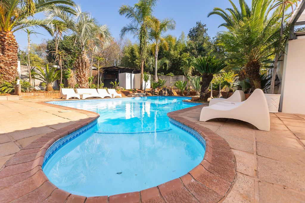 Swimming pool framed by palm trees with sun loungers